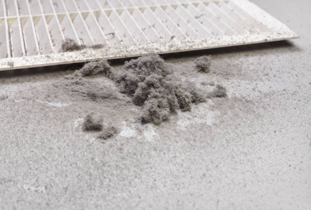 Best Ductwork Cleaning Services  in Madelia, MN