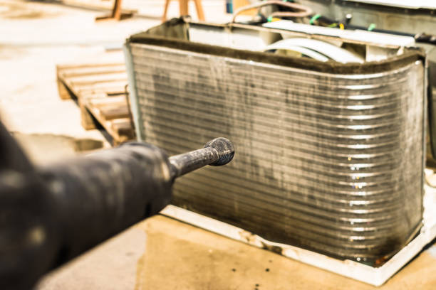 Best Dryer Vent Cleaning Services  in Madelia, MN