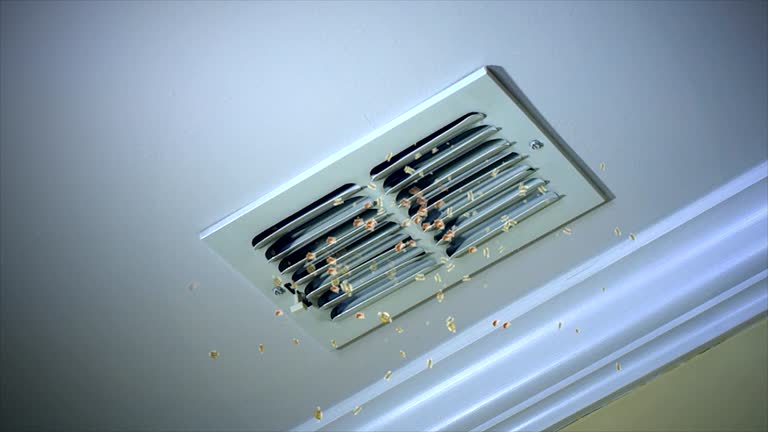 Best Affordable Air Duct Cleaning  in Madelia, MN
