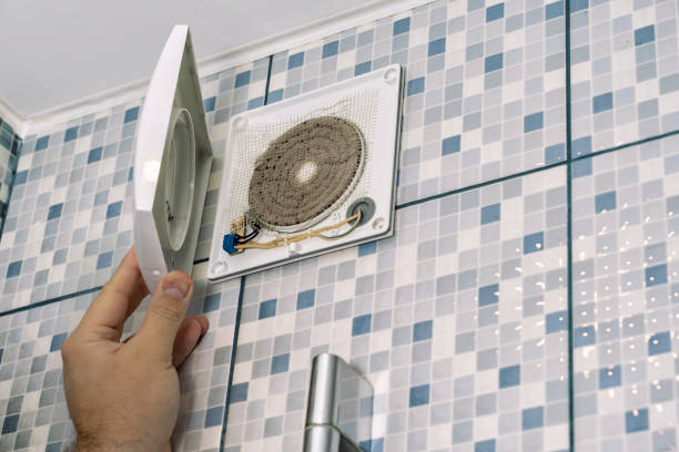 Best Home Air Vent Cleaning  in Madelia, MN