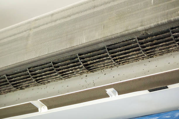 Best Commercial HVAC Duct Cleaning  in Madelia, MN