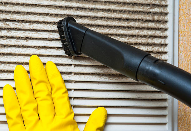 Best HVAC Maintenance and Cleaning  in Madelia, MN