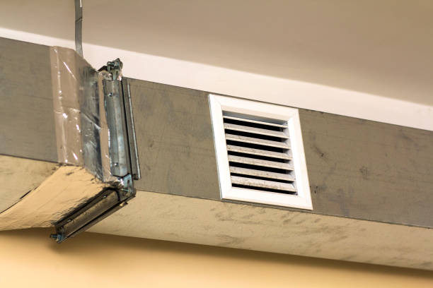 Best Home Air Vent Cleaning  in Madelia, MN